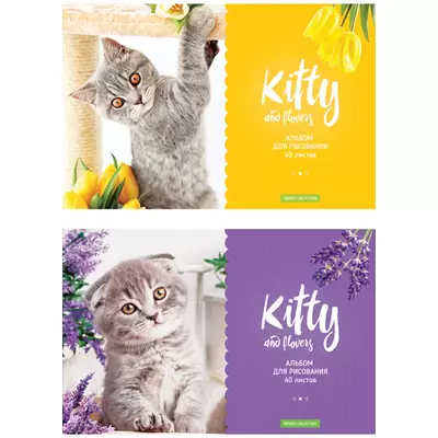 Альбом для рисования 40л КITTY&FLOWER