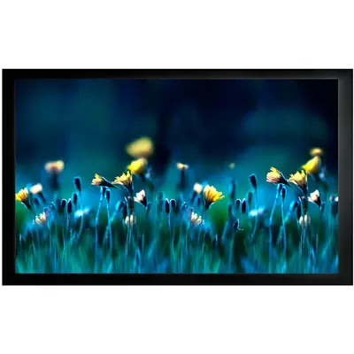 Экран на раме Cactus 113x200см FrameExpert CS-PSFRE-200X113 16:9 настенный натяжной