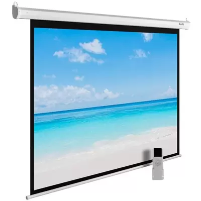 Экран Cactus 225x300см MotoExpert CS-PSME-300x225-WT 4:3 настенно-потолочный рулонный белый (моториз