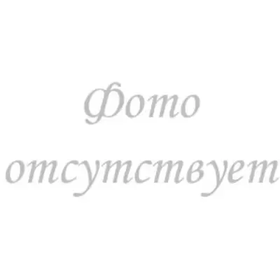 Краски акварельные  ЗХК.Белые ночи, кювета 2,5 мл, фиолетово-розовый хинакридон