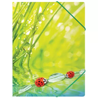 Папка на резинке BERLINGO Ladybird  А4, 550мкм