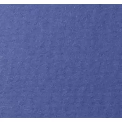 Бумага для пастели 50х65 LANA 45%хлопок 160 г/м², королевский голубой