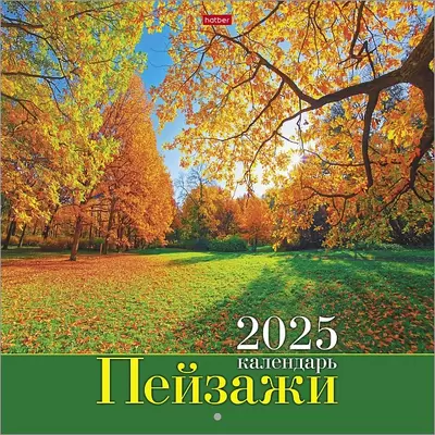 Календарь настенный 2025 ПЕЙЗАЖИ на скрепке, 300х300мм