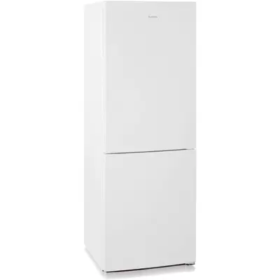 Холодильник Бирюса Б-6033 белый (двухкамерный)