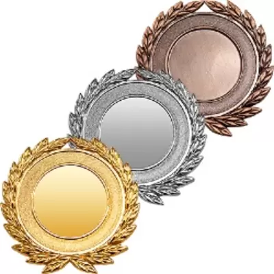 Медаль АРЧИКА, серебро