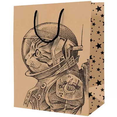 Пакет подарочный 11*14*6,5см ArtSpace "Space Cat", крафт