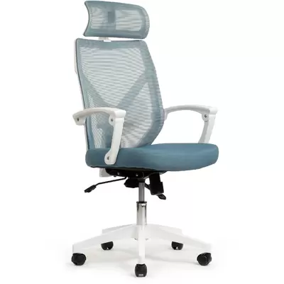 Кресло руководителя RV Design Oliver W-203AC ткань/сетка, синее/белое