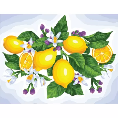 Картина по номерам на холсте ТРИ СОВЫ Лимоны 50х40, с акриловыми красками и кистями
